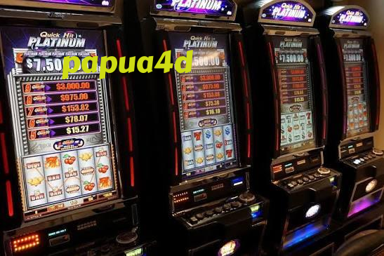 papua4d Result Table — Real-Time Outcomes in One Place